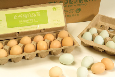 Organic Eggs Farm